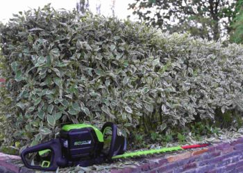 аккумуляторный кусторез Greenworks GD60HT