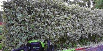 аккумуляторный кусторез Greenworks GD60HT