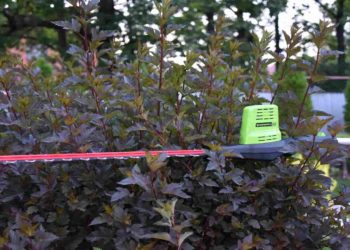 аккумуляторный штанговый кусторез Greenworks G60PHT