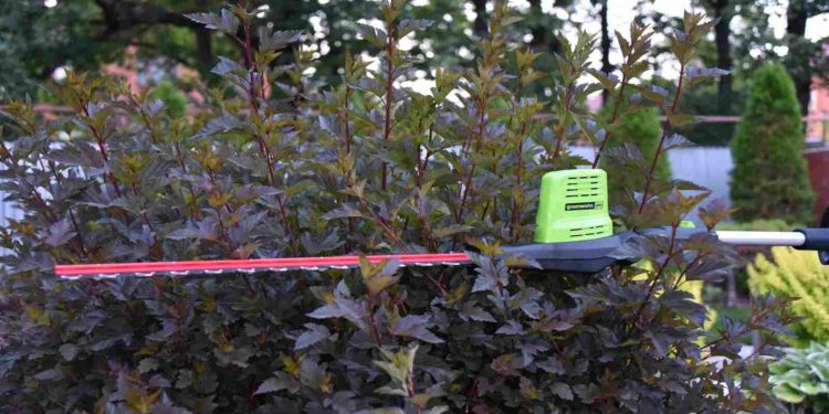 аккумуляторный штанговый кусторез Greenworks G60PHT